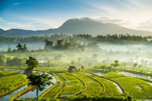 What vaccinations are required for safe travel to Bali, Indonesia?