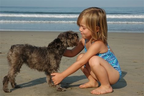A young child playing with a stray dog on the beach.